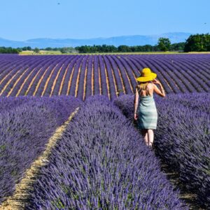 Unelmien retki Provencen laventelipelloille 30.6.2026