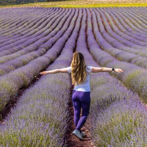 Unelmien retki Provencen laventelipelloille 1.7.2026